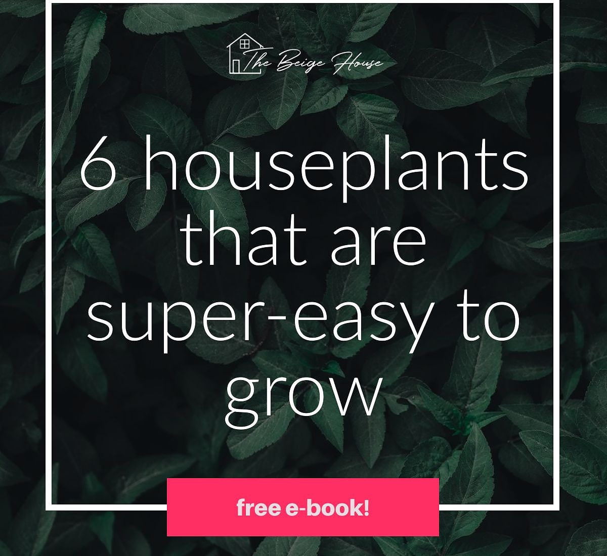 Join the Crazy, Addicting World of Plant Hoarders